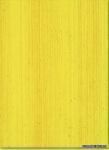 ������ ������������ ��������� Nice 253 Oro 25�33,3