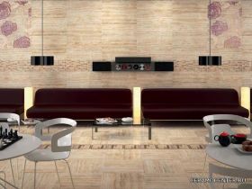 Porcelanite dos 7011