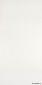Rako FROSTICA WATMB010 198x398