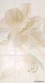 Iris Romantica Incanto Comp. Bloom Champagne
