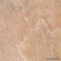 Ariostea Pietre Naturali Ardesia Amarilla strutt.(15�15)