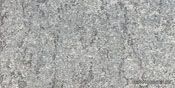 Ariostea Pietre Naturali Pietra di Luserna(15�30)