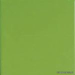 Verde Oliva 20x20