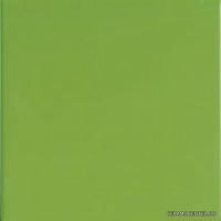 Verde Oliva 20x20