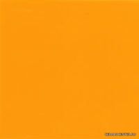 Naranja 20x20