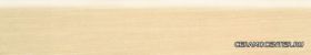 ZOC. FOREST SICOMORO  8�45