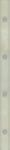 sabro_verde_listwa_prasowana_4x29,5