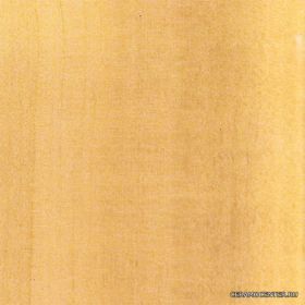 Samara Teca ������: 38,8X38,8