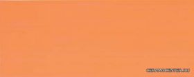 Spirit orange 20x50