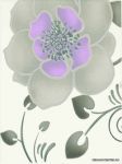 Tirani Viola  � �����  25x33,3