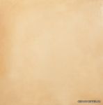 Toba Maiz  45*45
