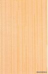 Zenith mandarina ������ ������������ ������ : 25 x 40