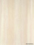 WATKB124 250x330