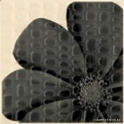 Ceramiche Ricchetti Jazz ����� Davis Nero 20�20